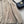 Celine 26ss Khaki Hooded Trench Coat in Cotton