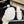 Chanel 2026 Runway Platform High-Heeled 12.5cm Sandals White in Cowhide 673056