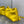 Dior 26 Bow Chain Bag in Yellow Lambskin