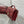 Dior 26 Bow Pearl Chain Clutch In Burgundy Glossy Lambskin GHW