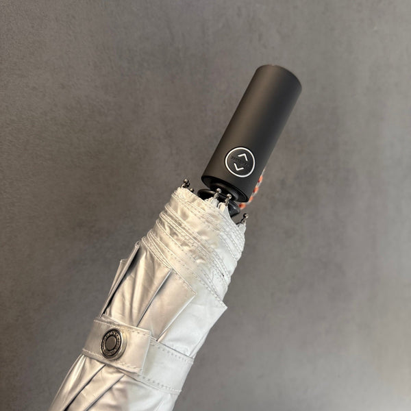 Burberry Umbrella 2