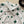Dior 26SS a Four-leaf Clover Print Shirt White in Cotton 198140