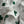 Dior 26SS a Four-leaf Clover Print Shirt White in Cotton 198140
