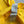 Dior 26 Bonjour Tristesse Series T-shirt Yellow in Cotton 360129