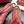 Gucci Horsebit Slingback Red in Denim 688316
