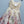 Zimmermann 2026 Dress 473