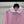 Miu Miu 26 Collar Plaid Shirt Pink in Cotton 254534