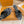 LV 26SS Single Kitten Heel Sandals 55 Black in Cowhide 703050