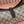 Gucci 26 Jackie 27cm Brown in Canvas 284984
