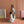 Miu Miu Aventure Handbag 31 Beige in Canvas 285305