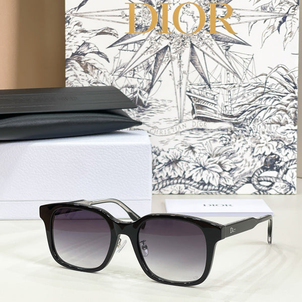 Dior Ribbon S1F Sunglasses