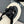 Chanel 26C Camellia Rope-Soled Flip-Flops Black in Velvet 717718