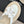 Chanel 26C Camellia Rope-Soled Flip-Flops White in Sheepskin 717717