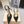 Mach & Mach 26 Pointed Toe High Heels 85 Crystal Black in Sheepskin 722816