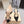 Mach & Mach 26 Pointed Toe High Heels 85 Crystal Black in Sheepskin 722816