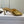 Dior 26 Sandal 70mm Gold in Cowhide 727962