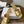 Dior 26 Sandal 70mm Gold in Cowhide 727962