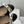 Dior 26 J'Adior Ballet Flat Black in Lambskin 727446