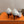 HM 26 Majeste 85 Pump White in Cowhide 744012