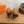 HM 26 Majeste 85 Pump Brown in Cowhide 744010
