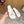 Loew Pebble Soft Sandal 55 White in Sheepskin 749418