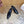 Loew Mule Slip-on Kitten Heel 45 Black in Sheepskin 749404