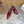Loew Mule Slip-on Kitten Heel 45 Burgundy in Sheepskin 749403