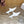 Loew Mule Slip-on Kitten Heel 45 White in Sheepskin 749400