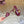Loew 26 Sandal 45 Burgundy in Cowhide 749388