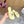 Loew Sandal Lemon Yellow in Sheepskin 749332