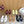 Loew Sandal Lemon Yellow in Sheepskin 749332