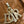 CD Toujours Vertical 18cm Brown in Cowhide 286402