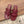 CC 26 Sandal Burgundy in Cowhide 748527
