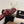 CC 26 Sandal Burgundy in Cowhide 748527