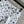 CC 26 Printed Flared Trousers White in Cotton 380161