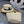 CC Tote Bag & Hat Set Plant Grass 209742