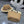 CD Tote Bag & Hat Set Plant Grass 209739