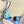 Pucci Printed Two-Piece Bikini Blue Cotton Blend228094