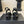 CC 26S Square-Toe Mary Jane Slingback Pumps Black Lambskin 835673