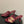 CC 26A Logo Quilted Heeled Sandals 8cm Burgundy Begie Lambskin 834708