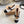 GR Mary Jane Flats Black Cream Lambskin & Fabric 851888