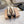 GR Pointed-Toe Mule Sandals 8.5cm Black Patent Cowhide & PVC 854878