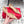 FG Gyoia Bow Pointed Toe Pumps 3.5cm Beige Patent Leather 848409