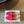 CD Baby Bow Mules Gold Bow Red Suede 858668