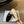 CD Baby Bow Mules Gold Bow Black Suede 858667