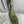 CD Diorly Shoulder Bag 31.5cm Olive Green Suede Leather 158558