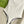 GG Jacquard One-Piece Swimsuit White 330772