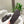 Loew Ease Monogram Slides Chocolate Lambskin Leather 881377