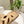 Loew Ease Monogram Slides Beige Suede Leather 881375