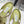 JC Emeri Stone Sandals 3cm Olive Green Suede Leather 880815
